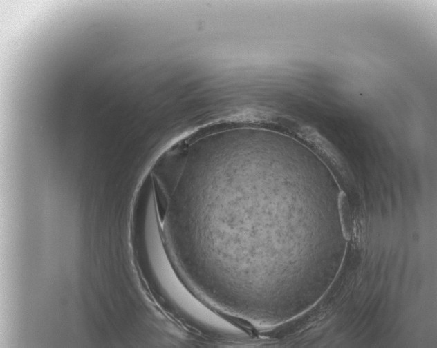 X0000068270724200605051814