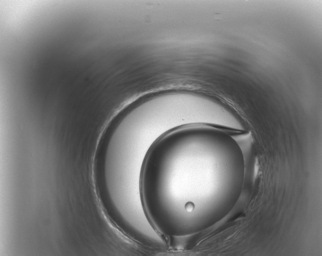 X0000068270726200605051814