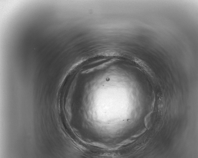 X0000068270727200605051814