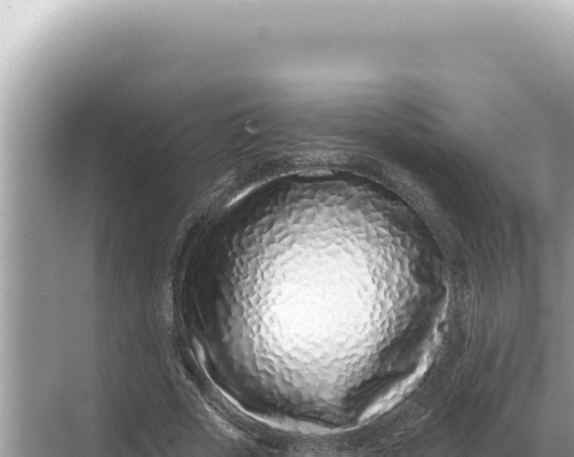 X0000068270729200605051814