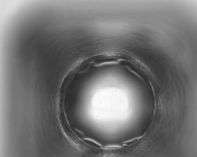 X0000068270730200605051814