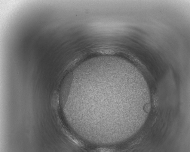 X0000068270733200605051814