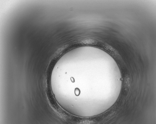 X0000068270734200605051814