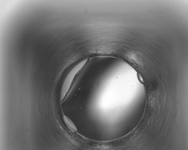 X0000068270735200605051814