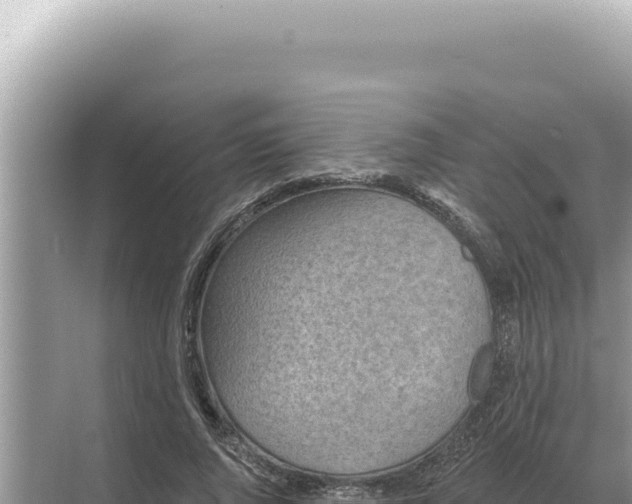 X0000068270736200605051814