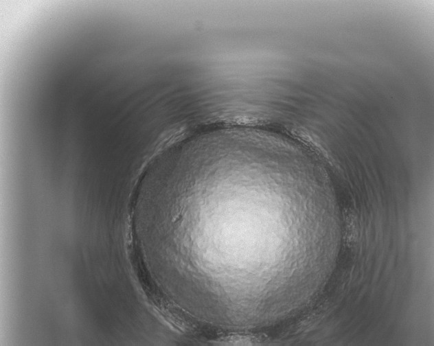 X0000068270738200605051814