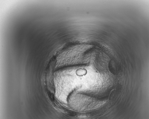 X0000068270740200605051814