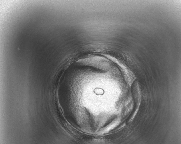 X0000068270744200605051814