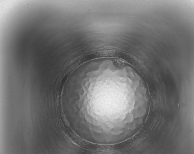 X0000068270745200605051814