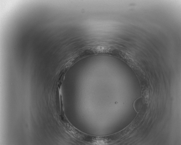 X0000068270746200605051814