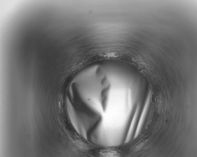 X0000068270747200605051814