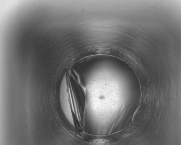 X0000068270748200605051814