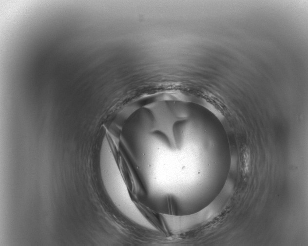 X0000068270750200605051814