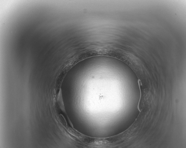 X0000068270752200605051815