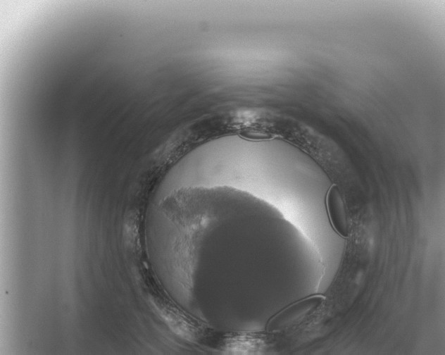 X0000068270754200605051815