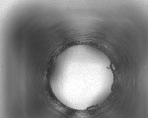 X0000068270756200605051815