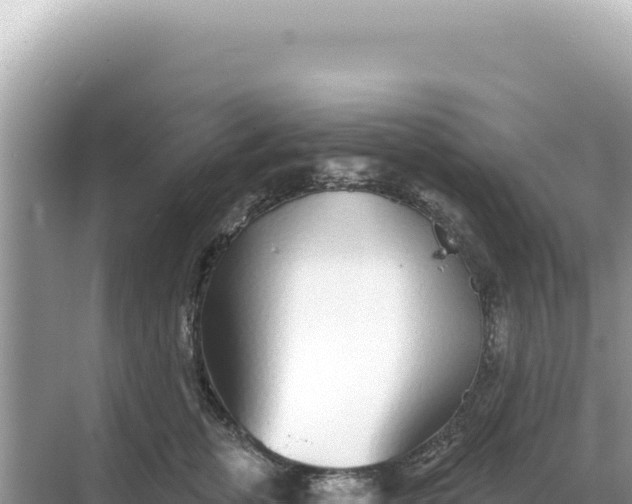 X0000068270759200605051815