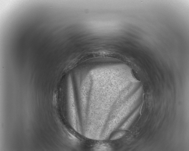 X0000068270760200605051815