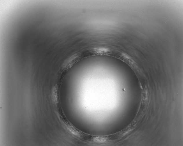 X0000068270762200605051815