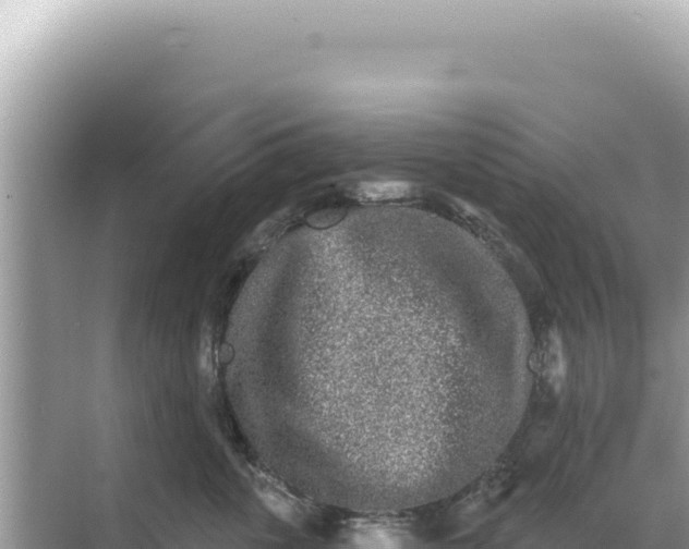 X0000068270763200605051815