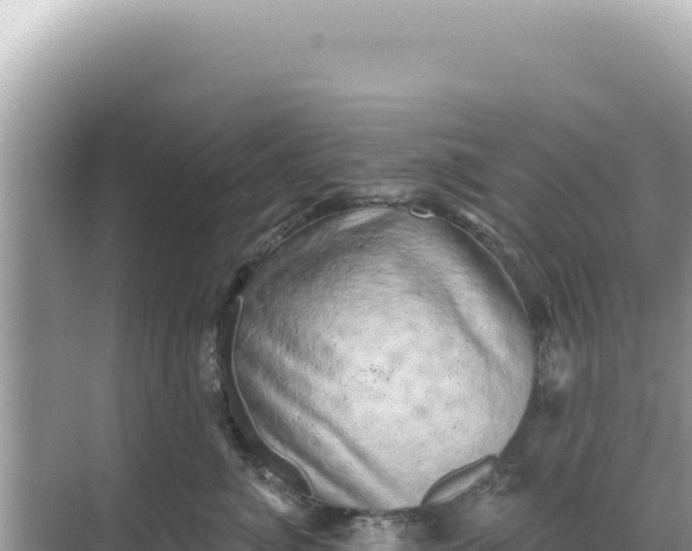 X0000068270764200605051815