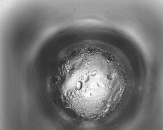 X0000068270765200605051815