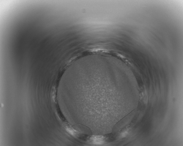 X0000068270767200605051815