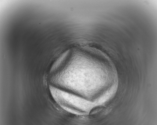 X0000068270768200605051815