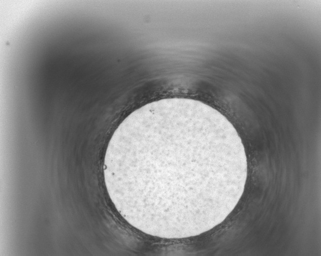 X0000068270769200605051814