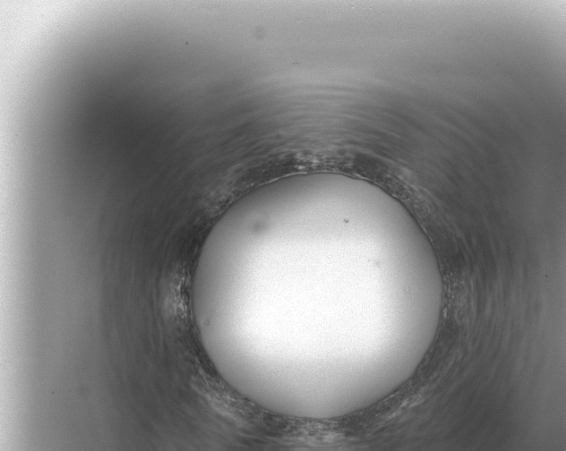 X0000068270770200605051814