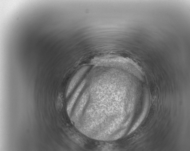 X0000068270772200605051814