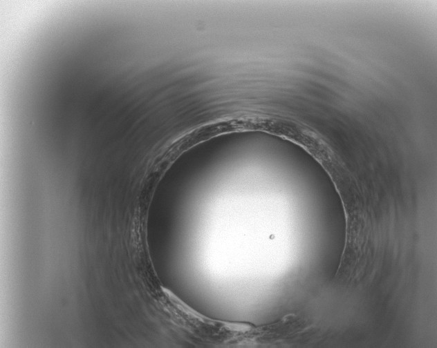 X0000068270773200605051814