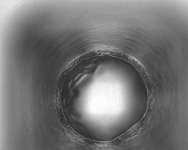 X0000068270775200605051814