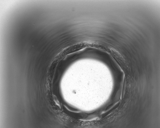 X0000068270776200605051814