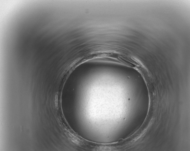 X0000068270777200605051814