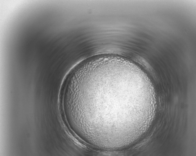 X0000068270780200605051814