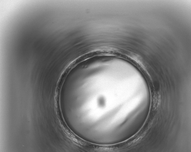 X0000068270783200605051814