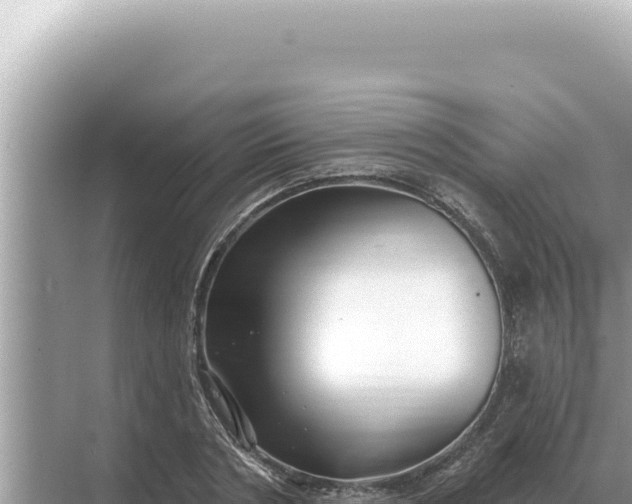 X0000068270786200605051814