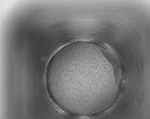 X0000068270787200605051814