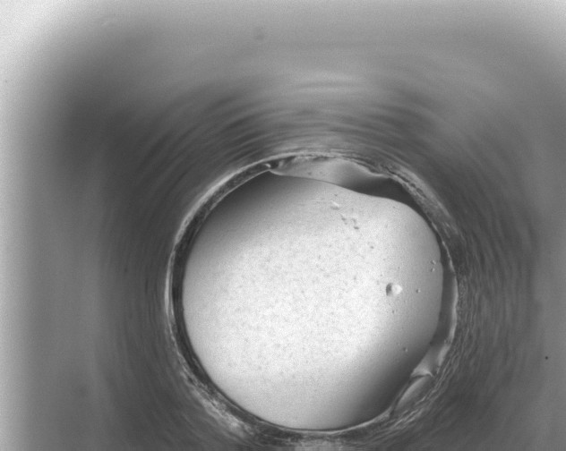 X0000068270788200605051814