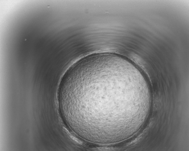 X0000068270789200605051814