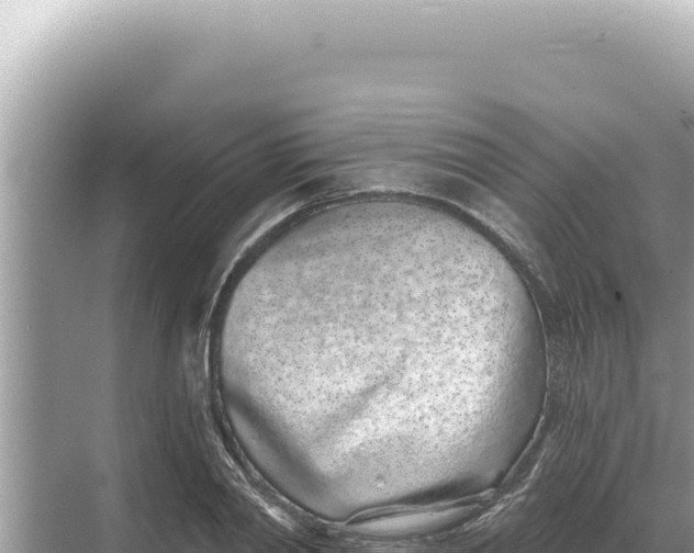 X0000068270790200605051814