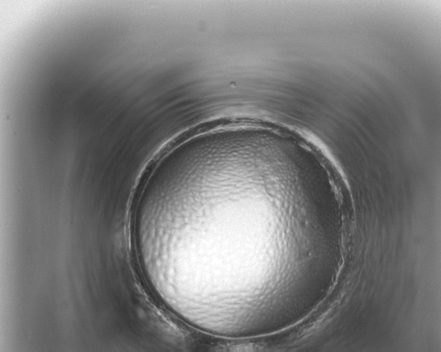 X0000068270791200605051814