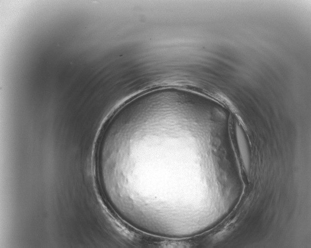 X0000068270795200605051814