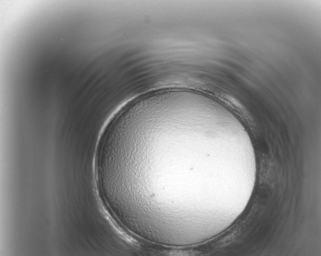 X0000068270796200605051814