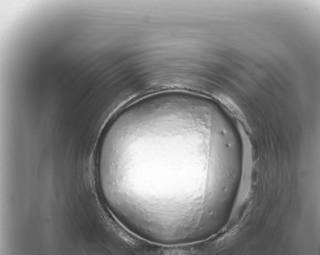 X0000068270798200605051813