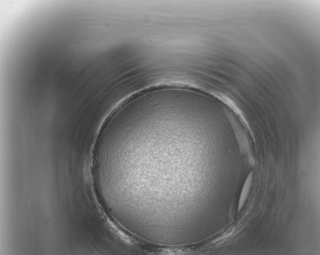 X0000068270799200605051813