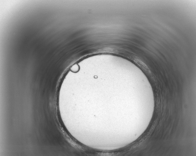 X0000068270800200605051813