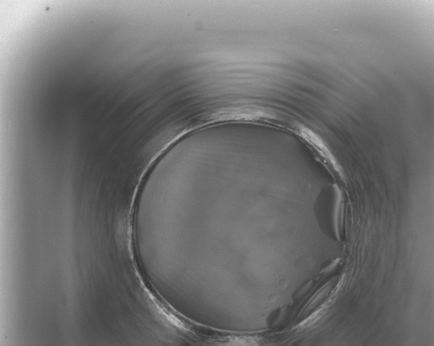 X0000068270802200605051813