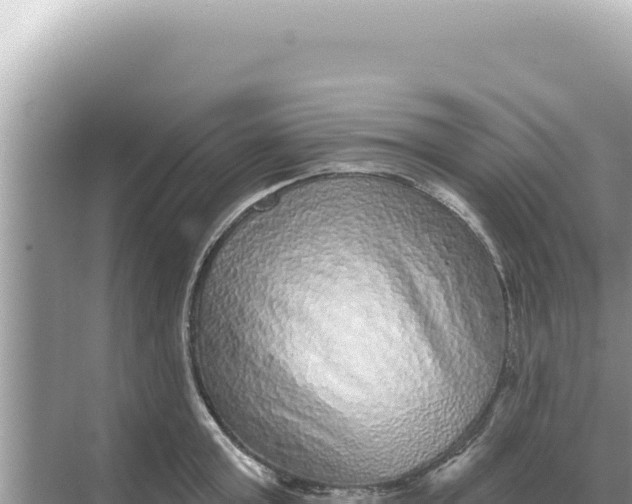 X0000068270803200605051813